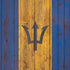 Barbados Flag Dark Wood iPhone XS Pro Case